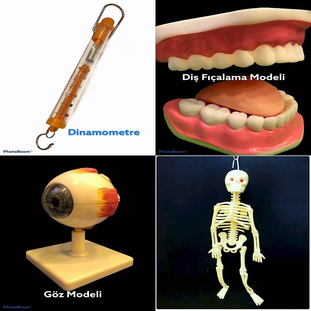 Eğitim Modelleri